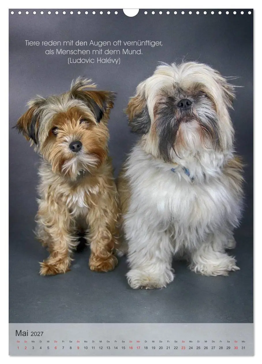 Bild: 9783594038406 | Hundezitate 2027 (Wandkalender 2027 DIN A3 hoch), CALVENDO...