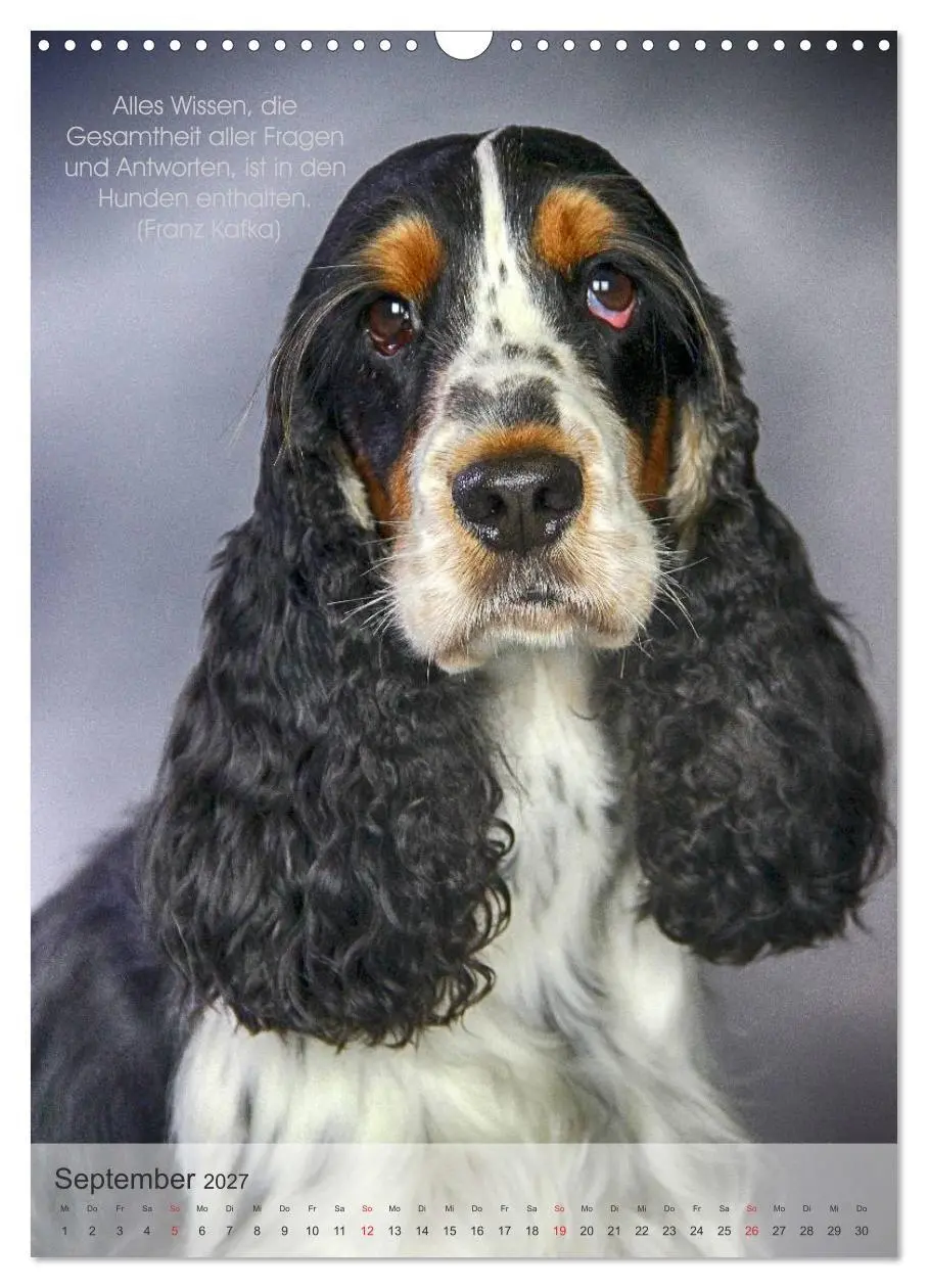 Bild: 9783594038406 | Hundezitate 2027 (Wandkalender 2027 DIN A3 hoch), CALVENDO...