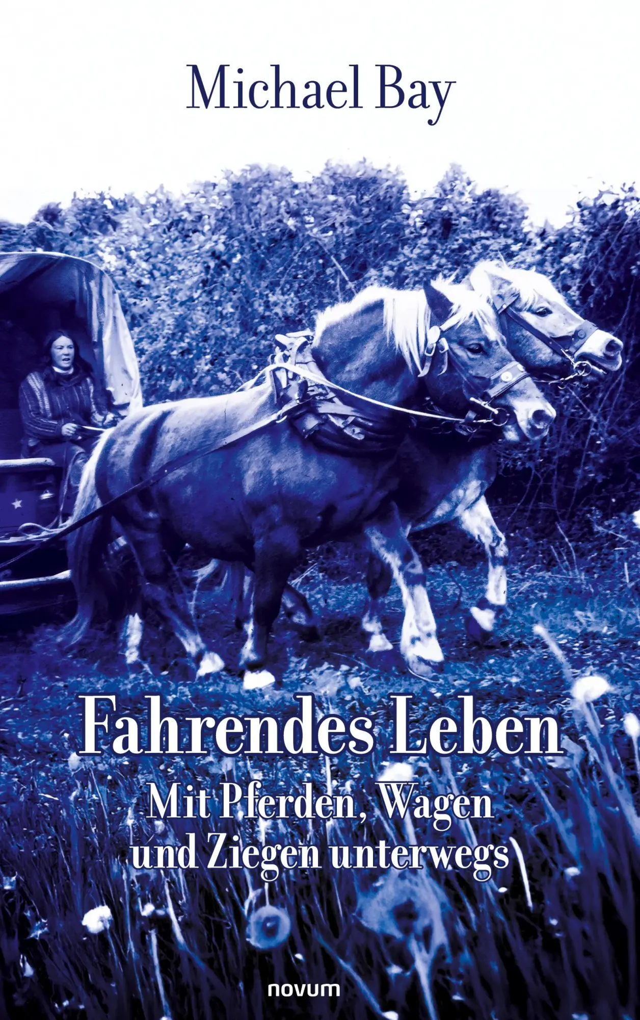 Cover: 9783711608406 | Fahrendes Leben | Mit Pferden, Wagen und Ziegen unterwegs | Bay | Buch