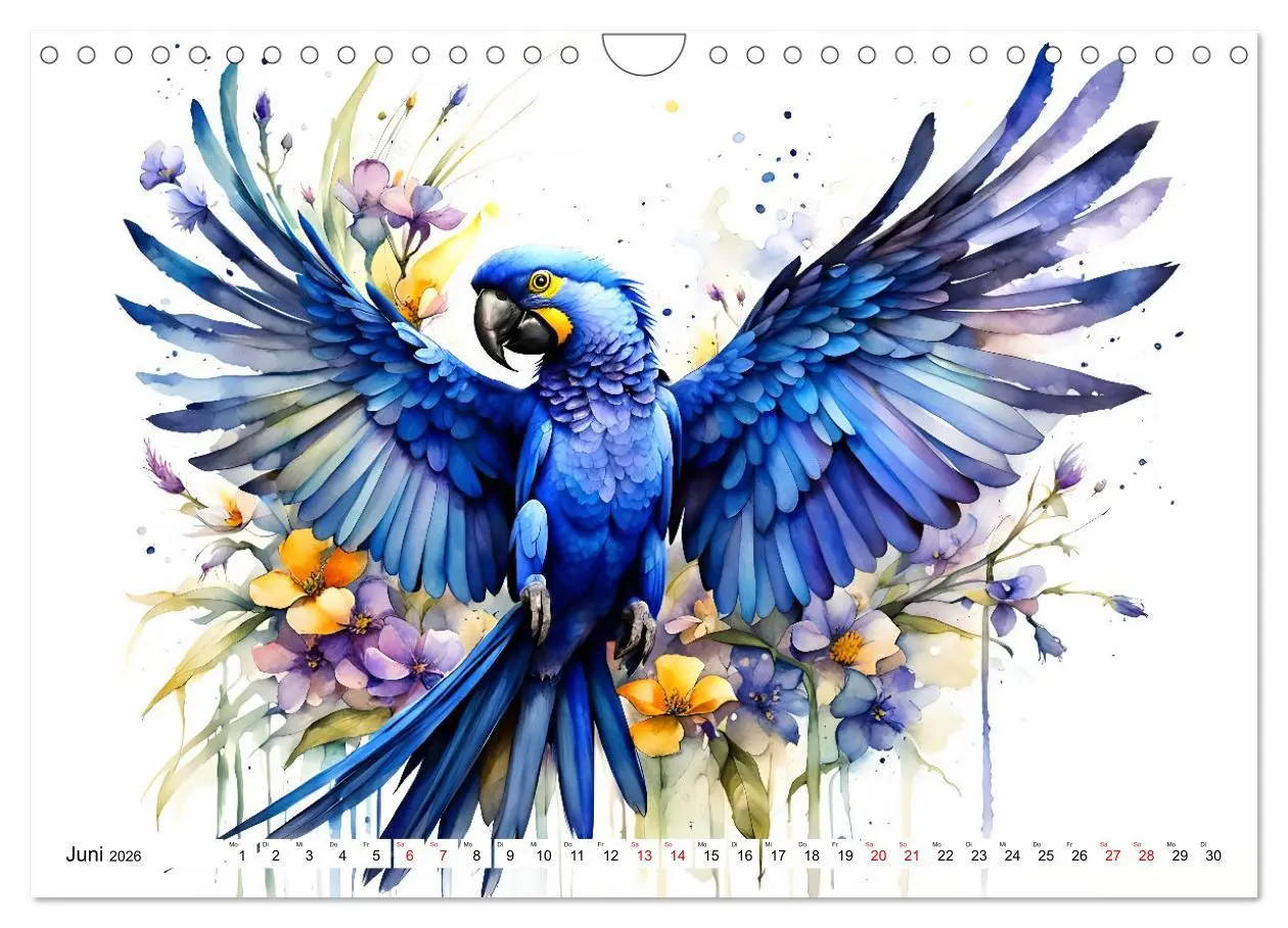 Bild: 9783457338506 | Papageien - Fliegende Edelsteine (Wandkalender 2026 DIN A4 quer),...