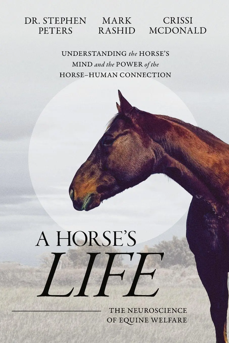 Cover: 9798995328506 | A Horse's Life | The Neuroscience of Equine Welfare | Peters (u. a.)