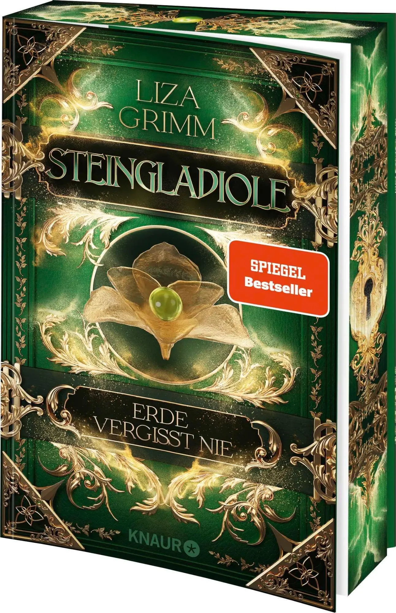 Cover: 9783426568606 | Steingladiole. Erde vergisst nie | Liza Grimm | Taschenbuch | 400 S.