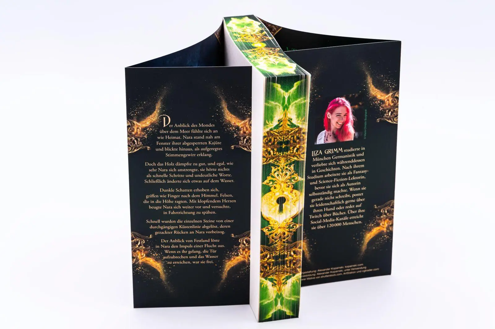 Bild: 9783426568606 | Steingladiole. Erde vergisst nie | Liza Grimm | Taschenbuch | 400 S.