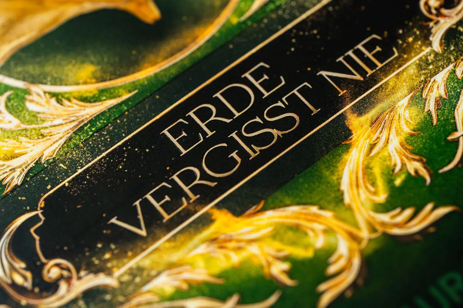 Bild: 9783426568606 | Steingladiole. Erde vergisst nie | Liza Grimm | Taschenbuch | 400 S.