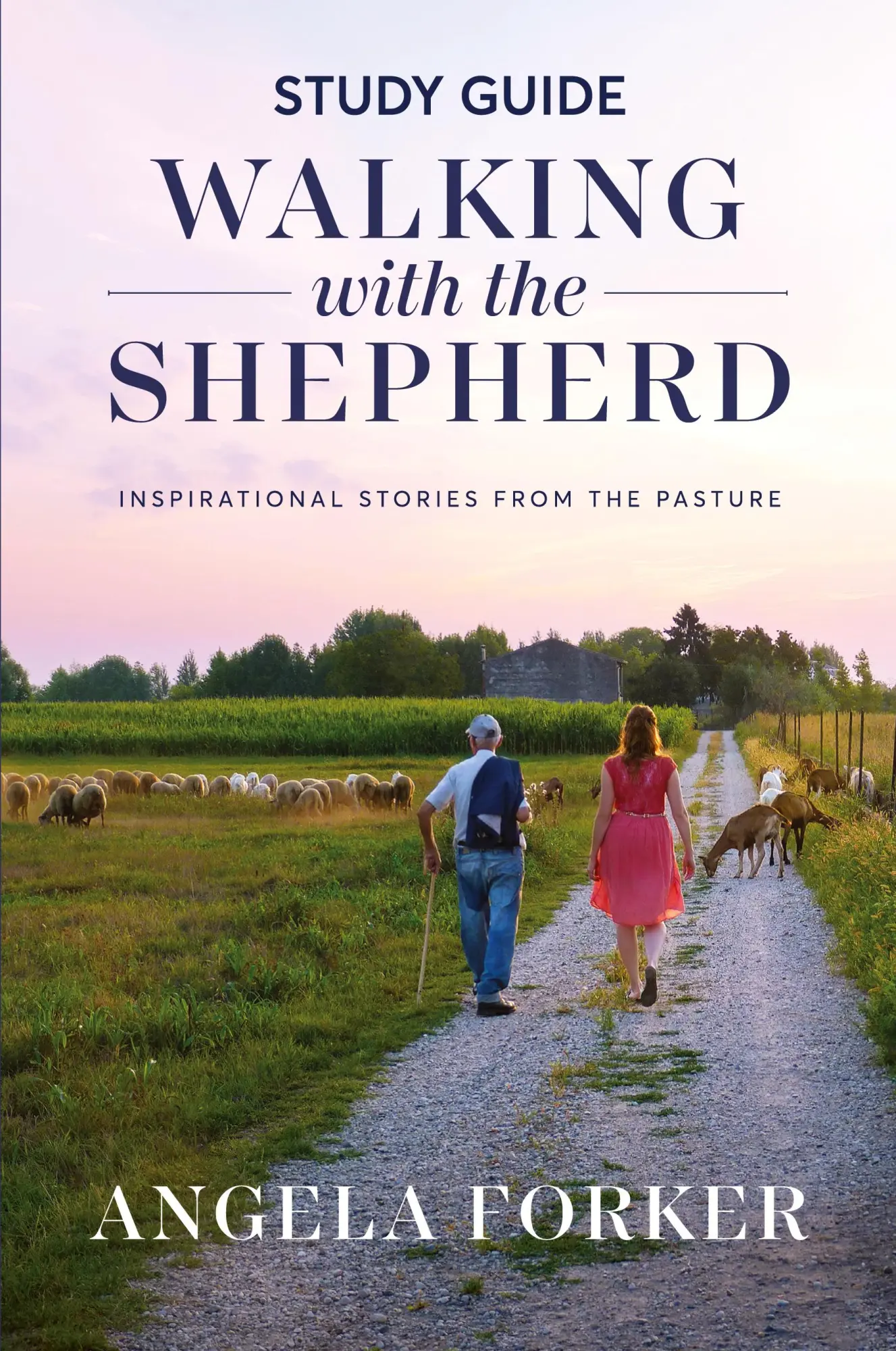 Cover: 9781960678706 | Walking with the Shepherd Study Guide | Angela Forker | Taschenbuch