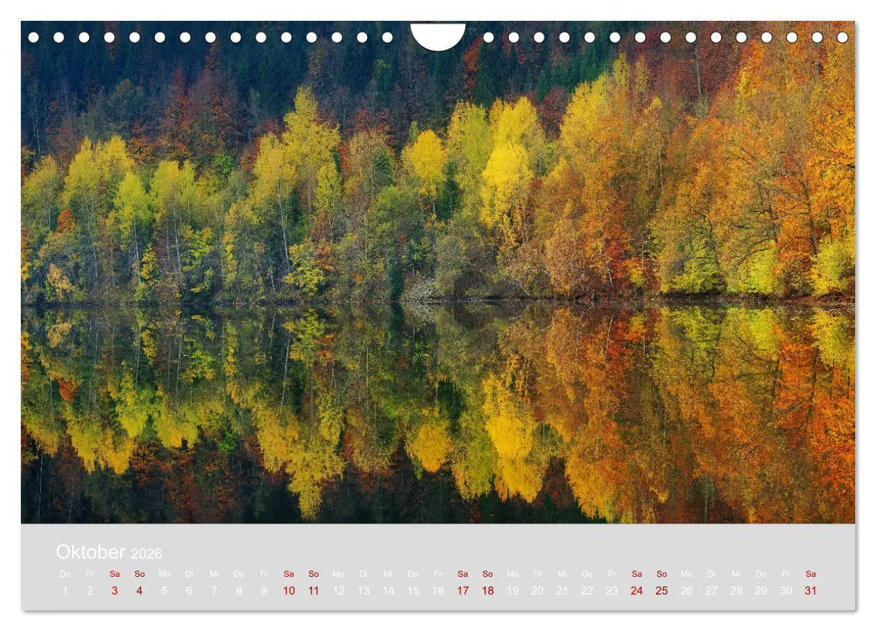 Bild: 9783457868706 | Im Lichtglanz der Jahreszeiten (Wandkalender 2026 DIN A4 quer),...
