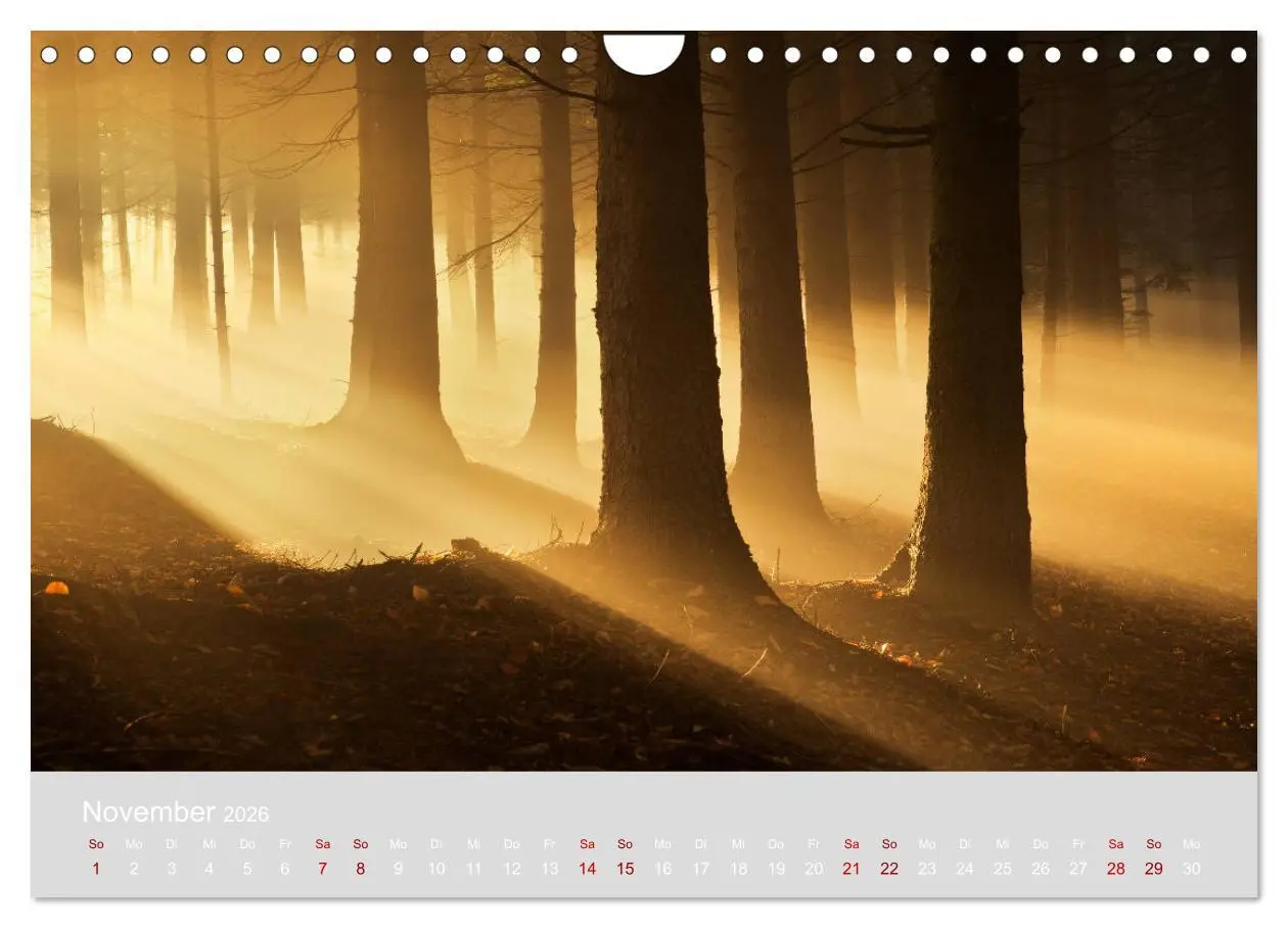 Bild: 9783457868706 | Im Lichtglanz der Jahreszeiten (Wandkalender 2026 DIN A4 quer),...