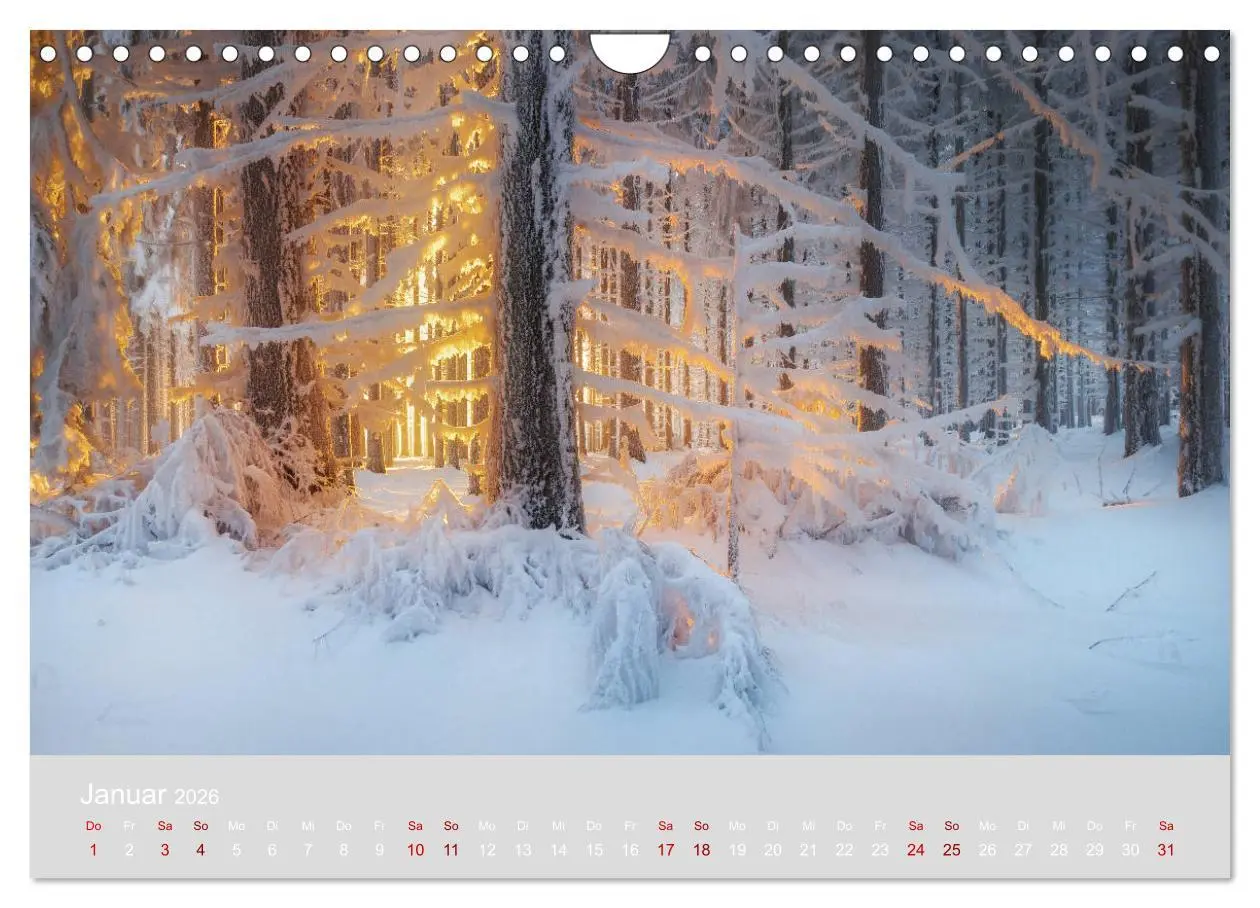 Bild: 9783457868706 | Im Lichtglanz der Jahreszeiten (Wandkalender 2026 DIN A4 quer),...