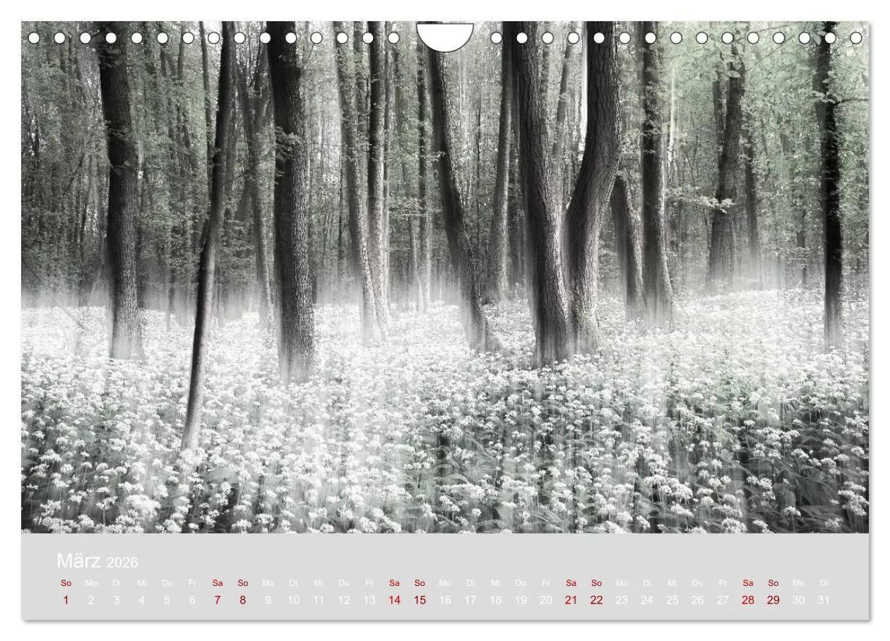 Bild: 9783457868706 | Im Lichtglanz der Jahreszeiten (Wandkalender 2026 DIN A4 quer),...