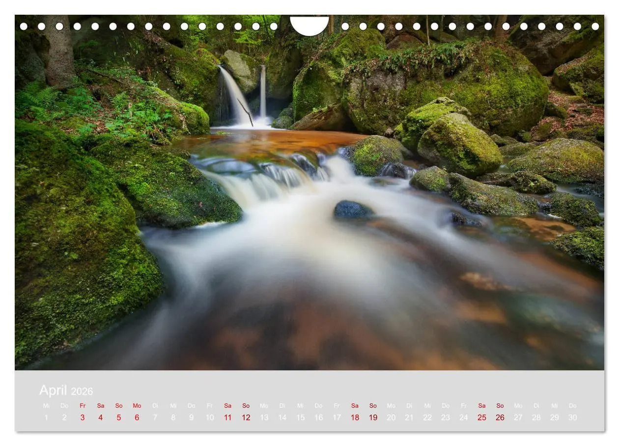 Bild: 9783457868706 | Im Lichtglanz der Jahreszeiten (Wandkalender 2026 DIN A4 quer),...