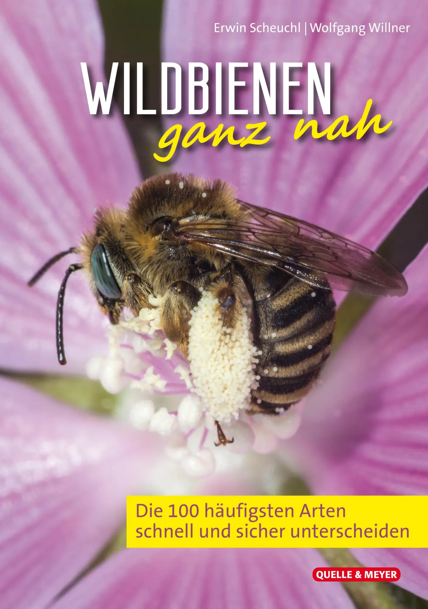 Cover: 9783494018706 | Wildbienen ganz nah | Erwin Scheuchl (u. a.) | Taschenbuch | 442 S.