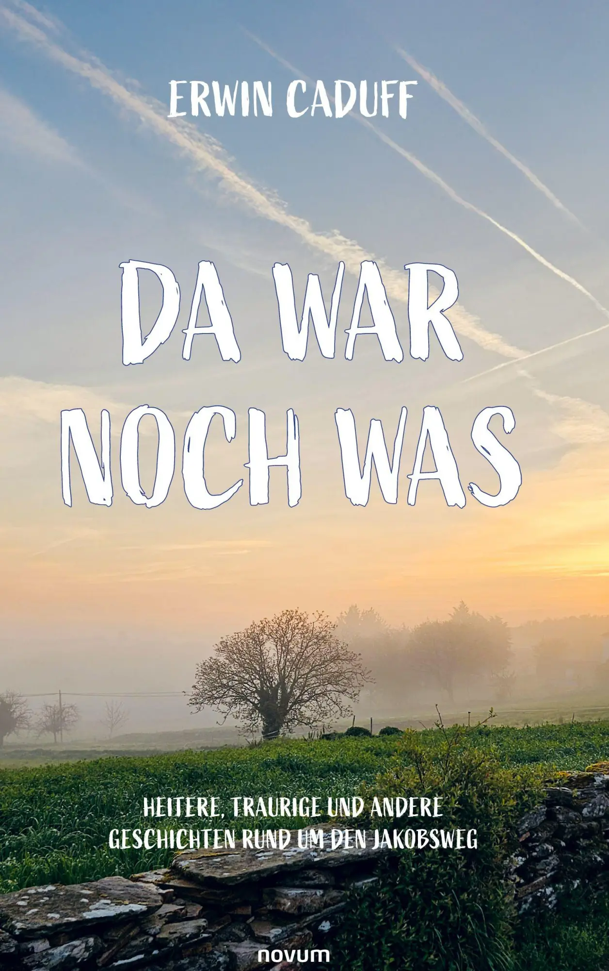 Cover: 9783991308706 | Da war noch was | Erwin Caduff | Buch | 198 S. | Deutsch | 2025