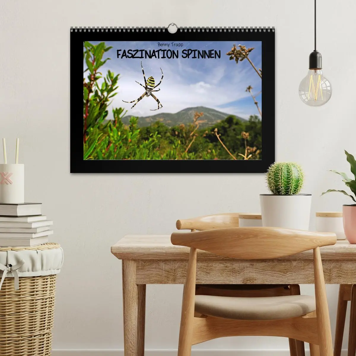 Bild: 9783457928806 | Faszination Spinnen (Wandkalender 2026 DIN A3 quer), CALVENDO...