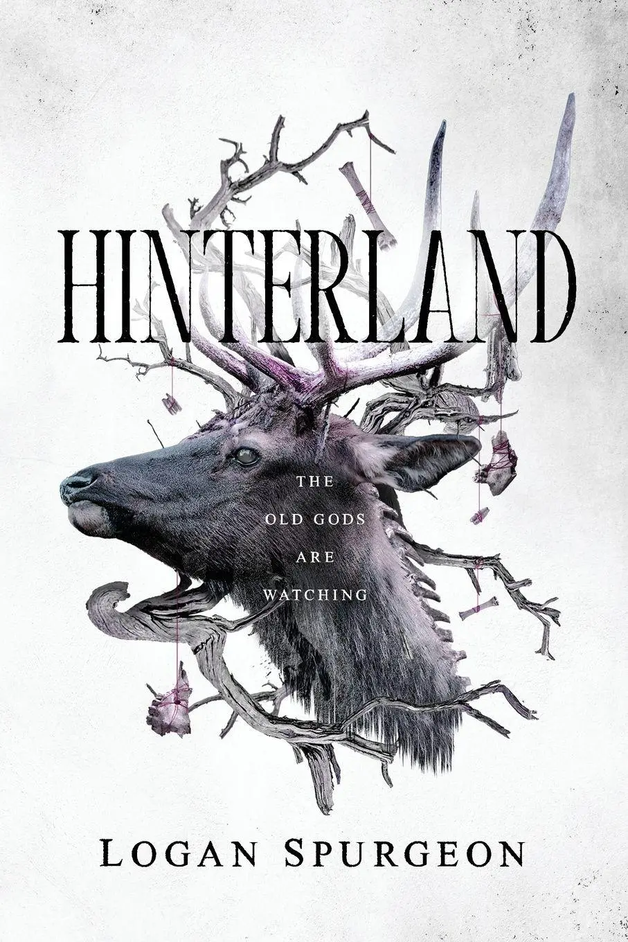 Cover: 9781958228906 | Hinterland | Logan Spurgeon | Taschenbuch | Englisch | 2025