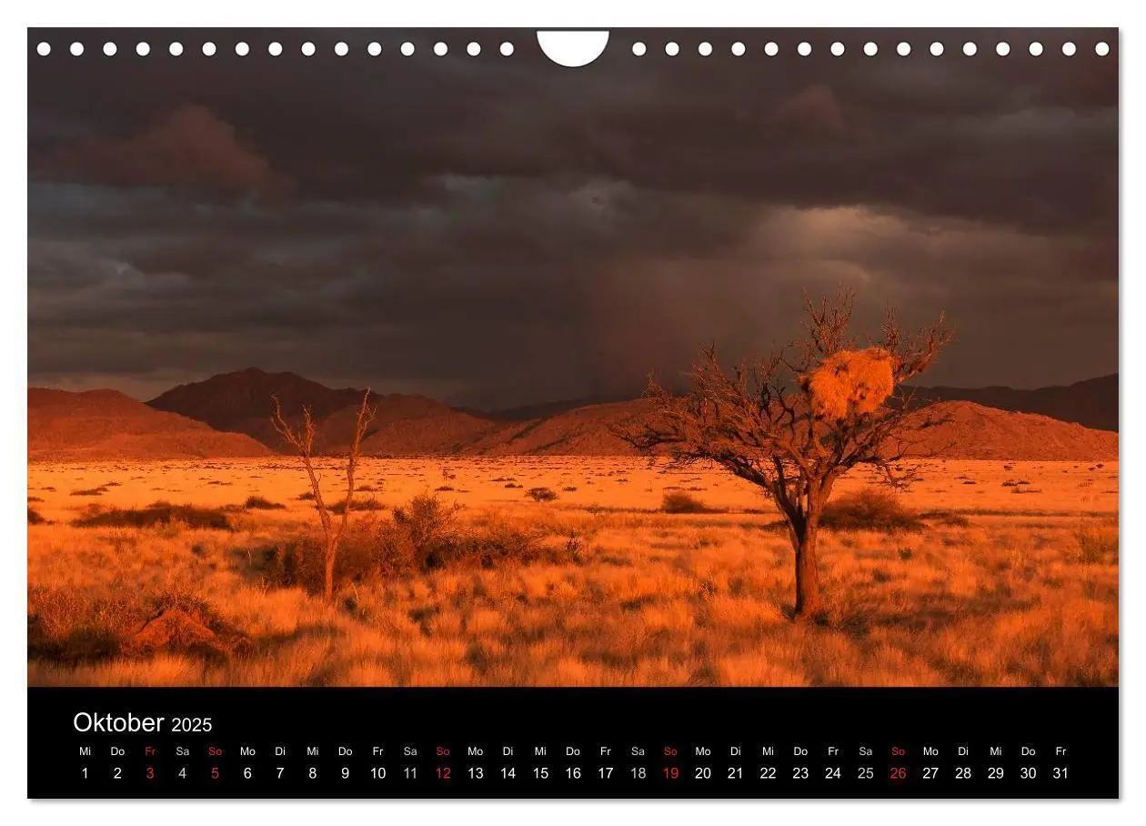 Bild: 9783435828906 | Fantastisches Namibia (Wandkalender 2025 DIN A4 quer), CALVENDO...