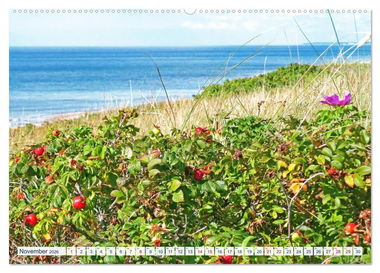 Bild: 9783457778906 | Kurische Nehrung: am längsten Ostsee-Strand (Wandkalender 2026 DIN...