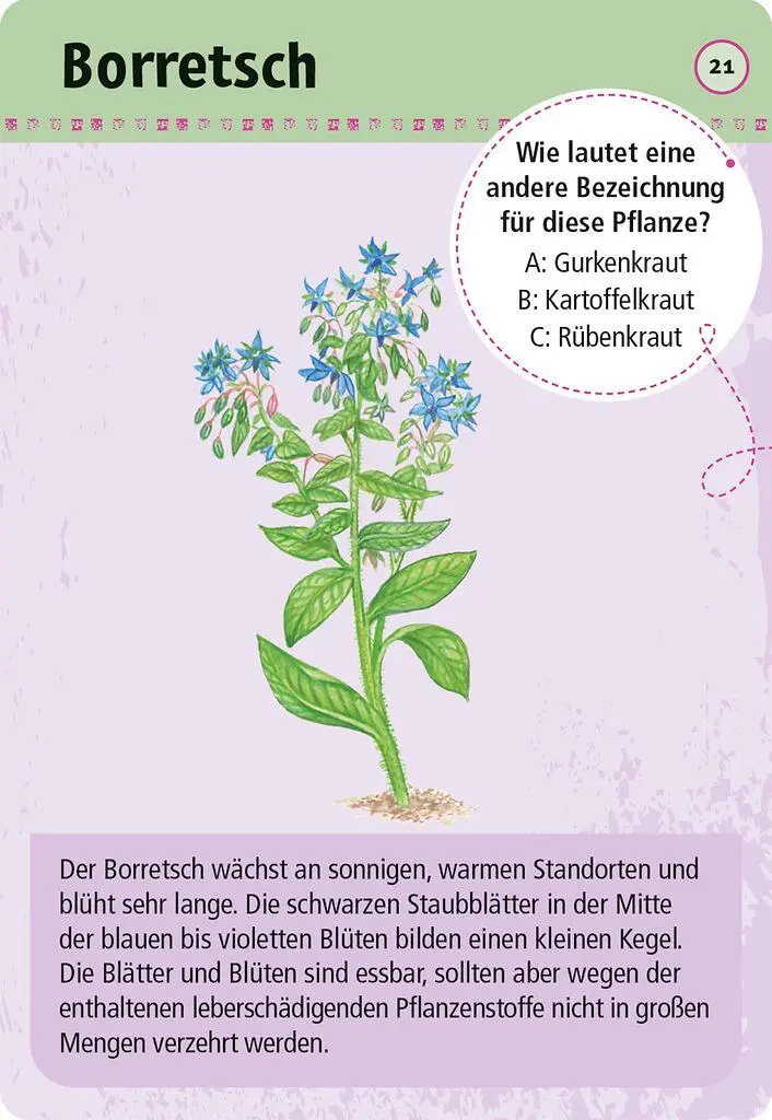 Bild: 4033477099006 | Expedition Natur 50 essbare Wildpflanzen | entdecken &amp; bestimmen