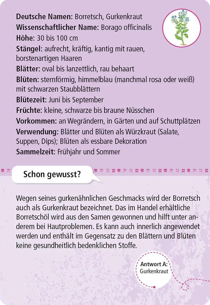 Bild: 4033477099006 | Expedition Natur 50 essbare Wildpflanzen | entdecken &amp; bestimmen