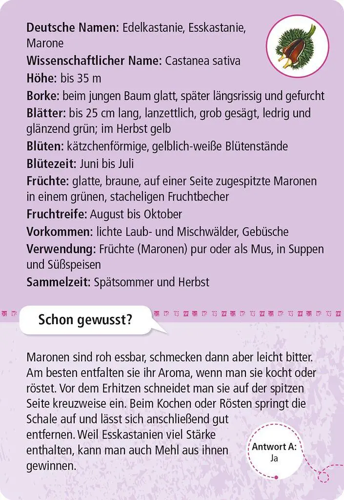 Bild: 4033477099006 | Expedition Natur 50 essbare Wildpflanzen | entdecken &amp; bestimmen