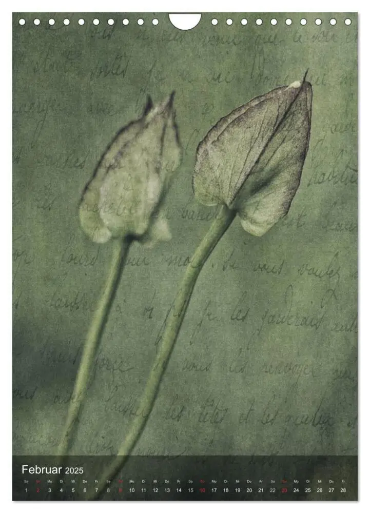 Bild: 9783457039106 | Naturmelancholie 2025 (Wandkalender 2025 DIN A4 hoch), CALVENDO...