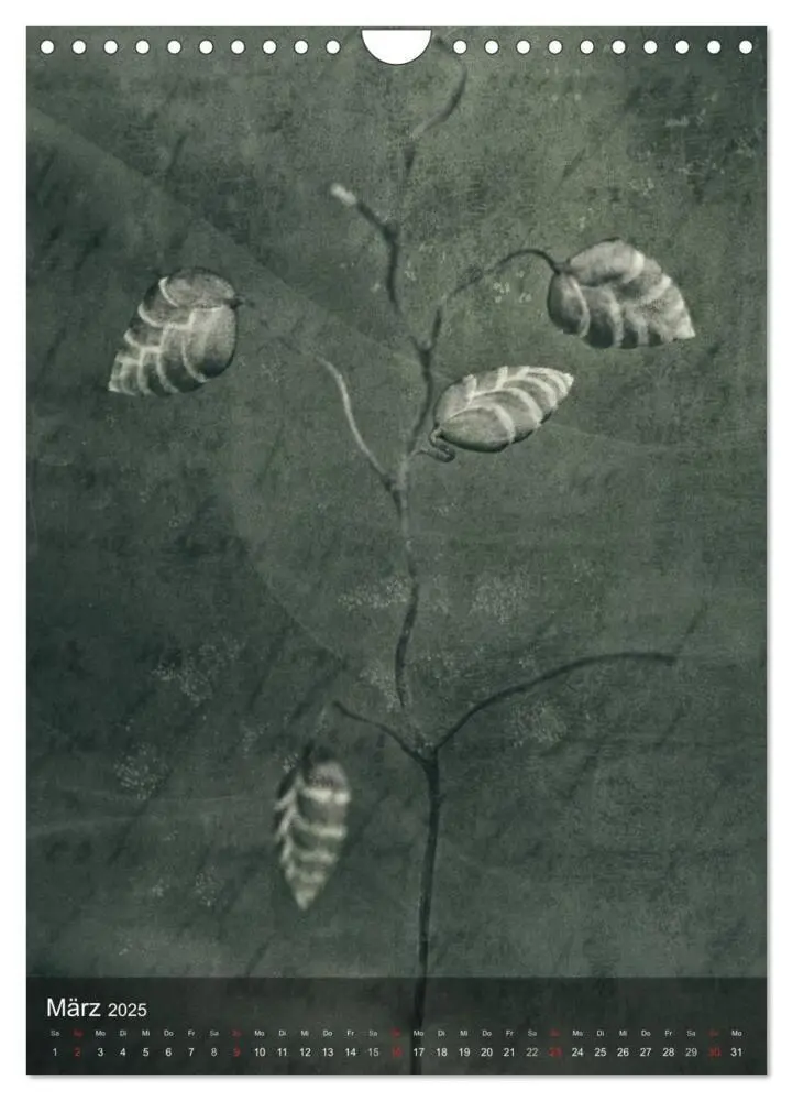 Bild: 9783457039106 | Naturmelancholie 2025 (Wandkalender 2025 DIN A4 hoch), CALVENDO...