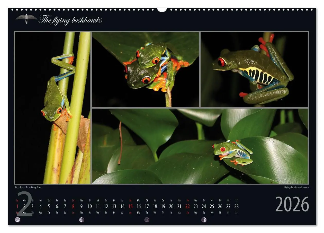 Bild: 9783457279106 | Costa Rica Blickwinkel 2026 (hochwertiger Premium Wandkalender 2026...