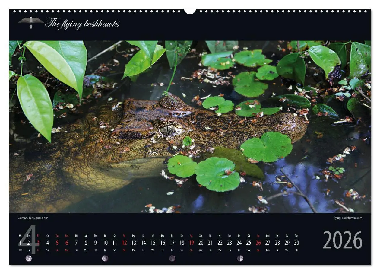 Bild: 9783457279106 | Costa Rica Blickwinkel 2026 (hochwertiger Premium Wandkalender 2026...