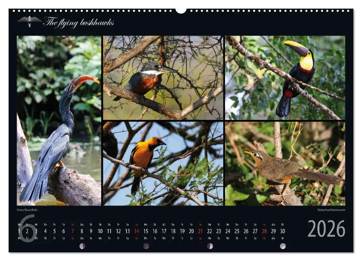 Bild: 9783457279106 | Costa Rica Blickwinkel 2026 (hochwertiger Premium Wandkalender 2026...