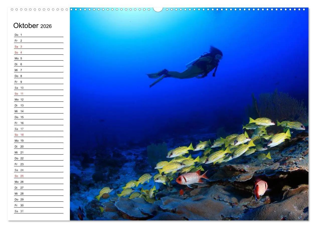 Bild: 9783516119206 | Tauchen - Abenteuer in Neptuns Wunderwelt (hochwertiger Premium...