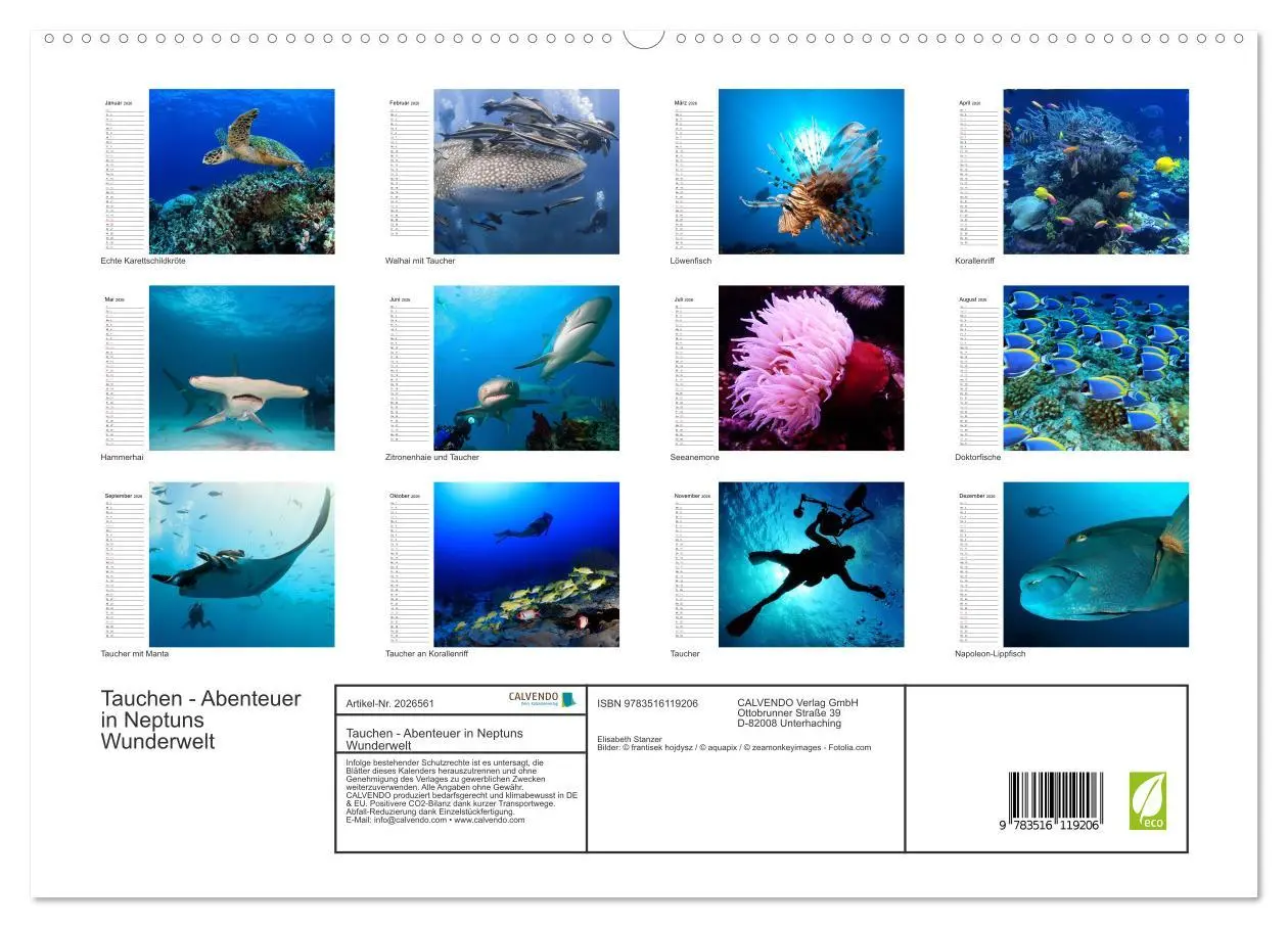 Bild: 9783516119206 | Tauchen - Abenteuer in Neptuns Wunderwelt (hochwertiger Premium...