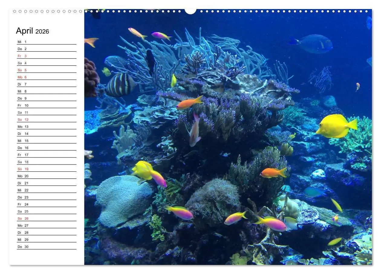 Bild: 9783516119206 | Tauchen - Abenteuer in Neptuns Wunderwelt (hochwertiger Premium...
