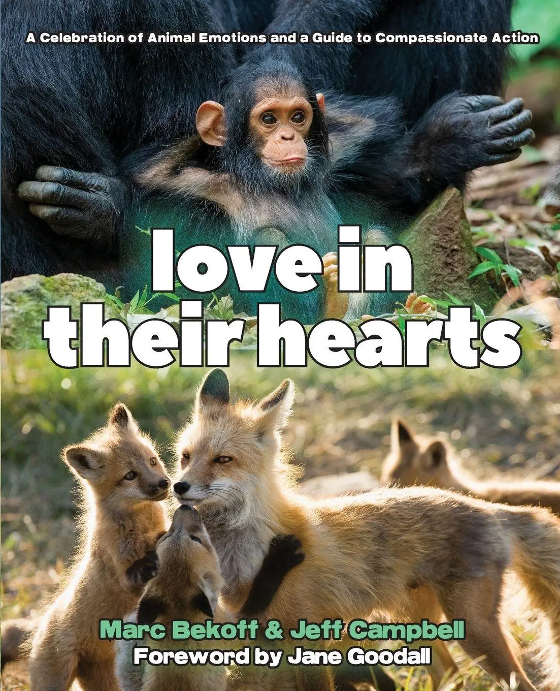 Cover: 9781968919306 | Love in Their Hearts | Marc Bekoff (u. a.) | Taschenbuch | Englisch