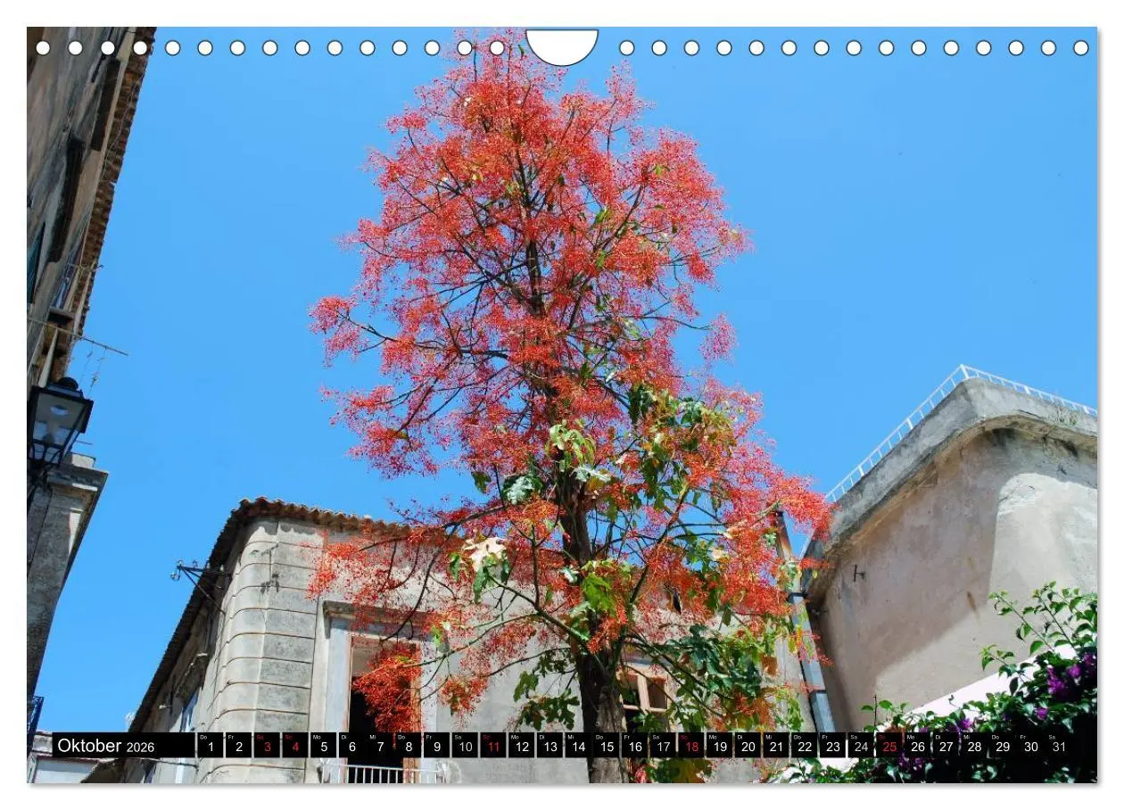 Bild: 9783516039306 | Kalabrien - Italien (Wandkalender 2026 DIN A4 quer), CALVENDO...