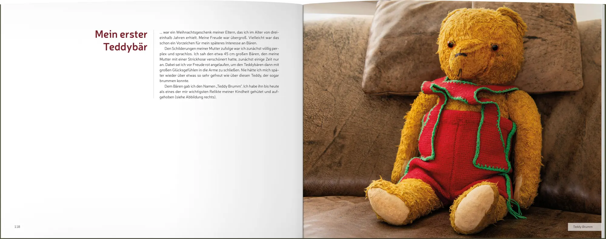 Bild: 9783943969306 | Vom Grizzly zum Teddybär | bärenstark und bärenlieb | Thomas Lange
