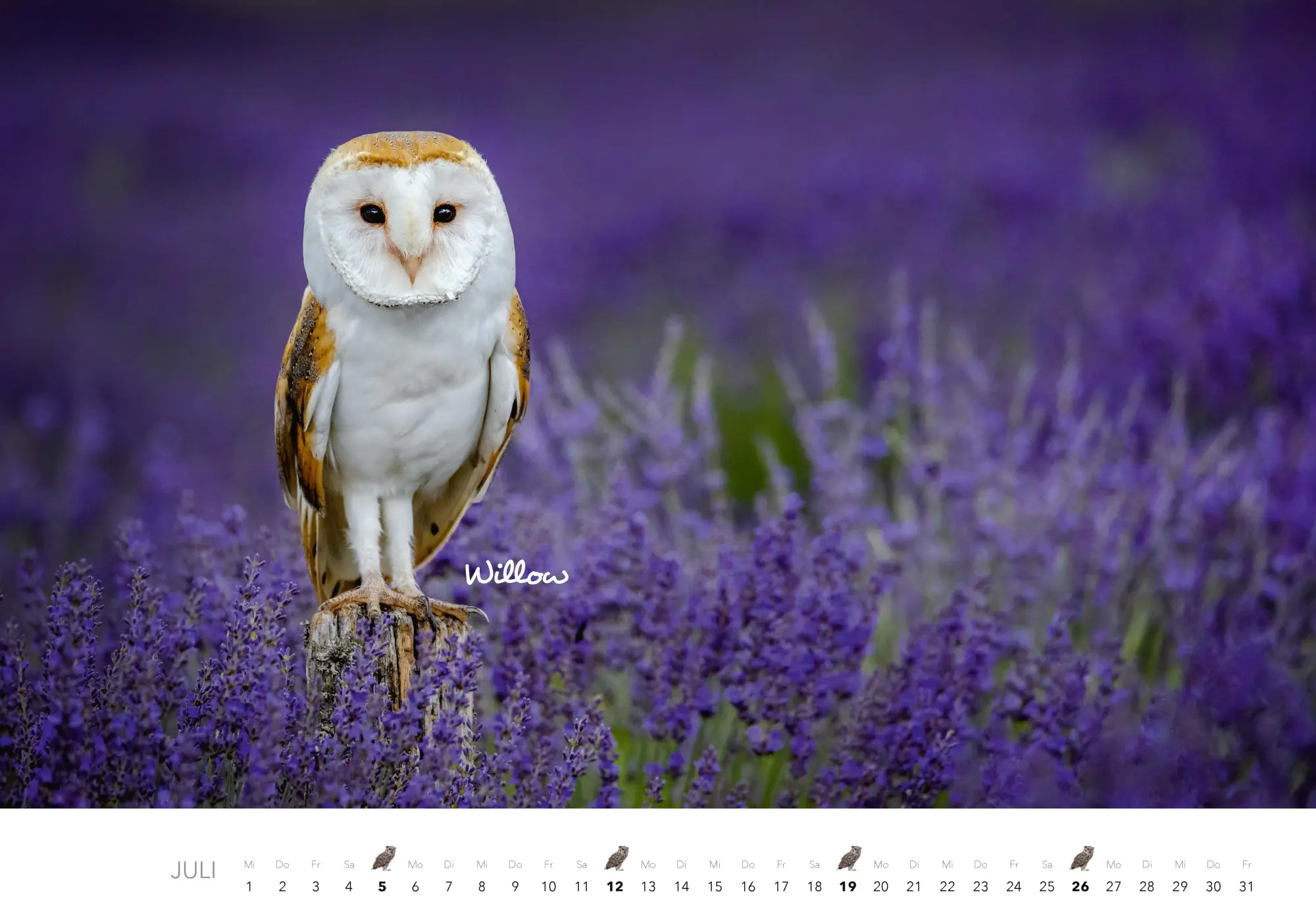 Bild: 9783966649506 | Eulen Kalender 2026 | J. -L. Klein (u. a.) | Kalender | 14 S. | 2026
