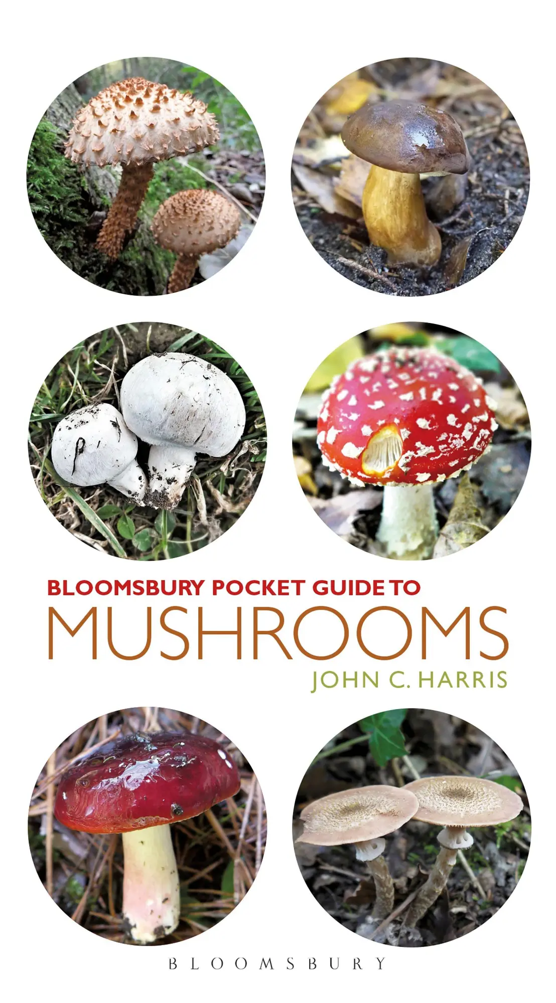 Cover: 9781472969606 | Pocket Guide to Mushrooms | John C Harris | Taschenbuch | Englisch