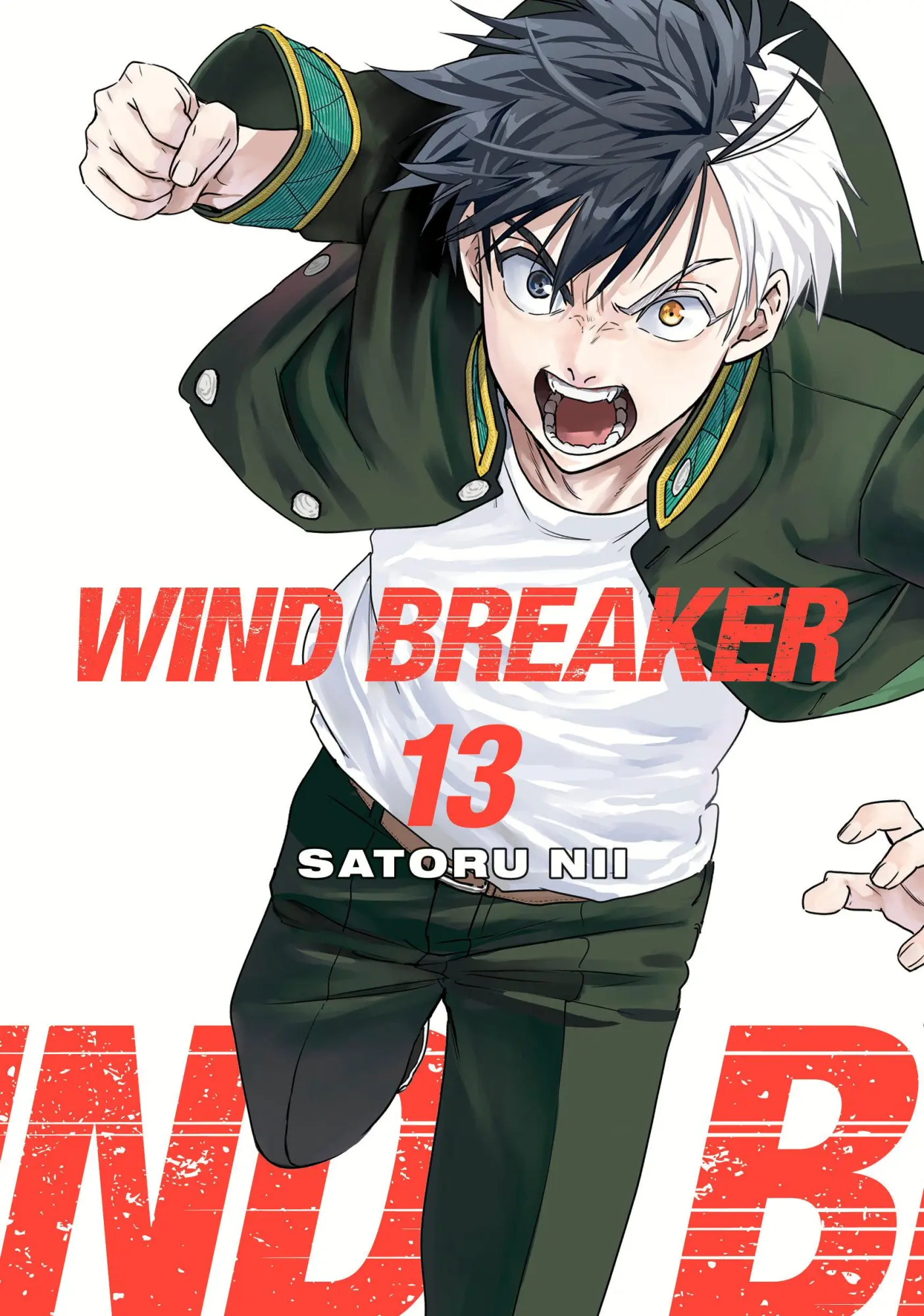 Cover: 9781646519606 | WIND BREAKER 13 | Satoru Nii | Taschenbuch | WIND BREAKER | Englisch