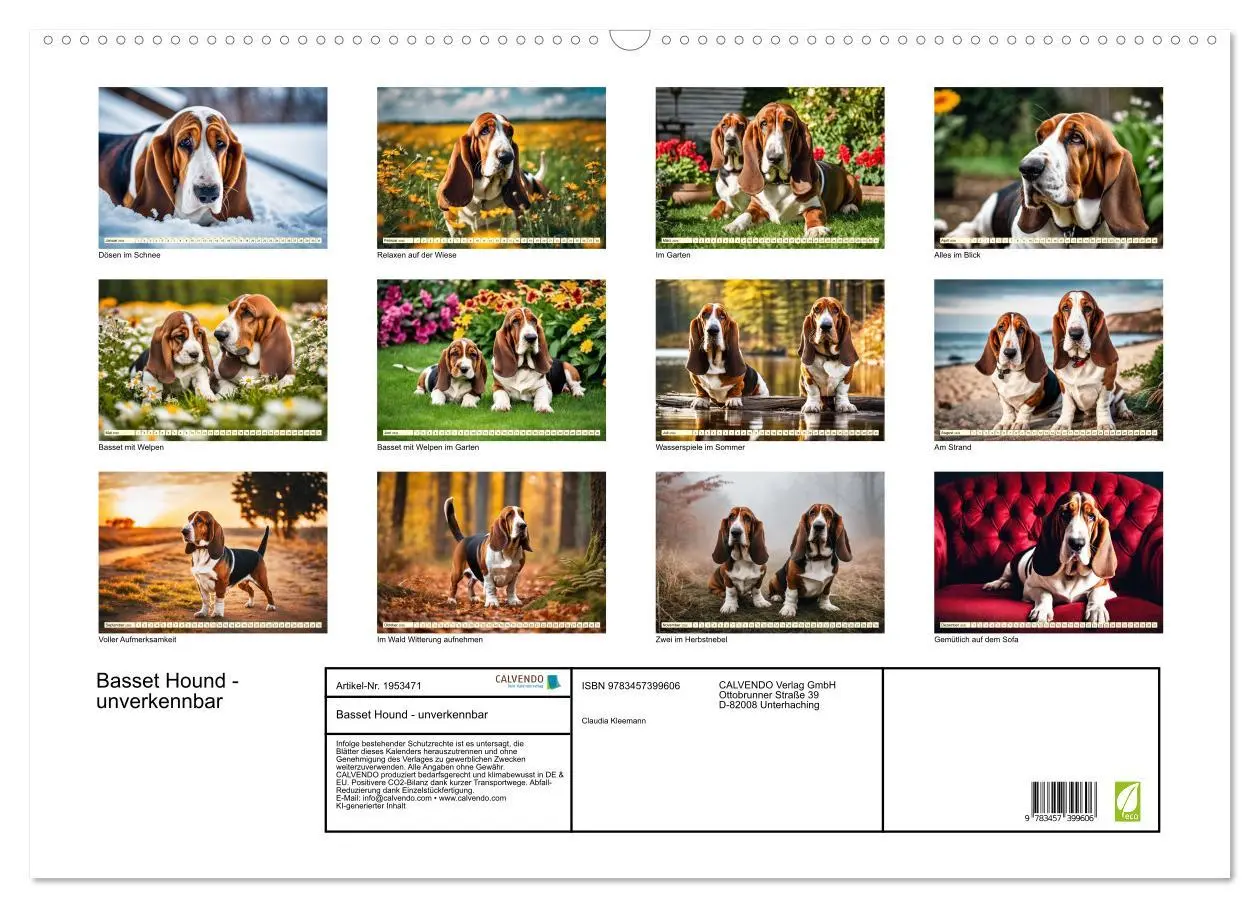Bild: 9783457399606 | Basset Hound - unverkennbar (Wandkalender 2026 DIN A2 quer),...