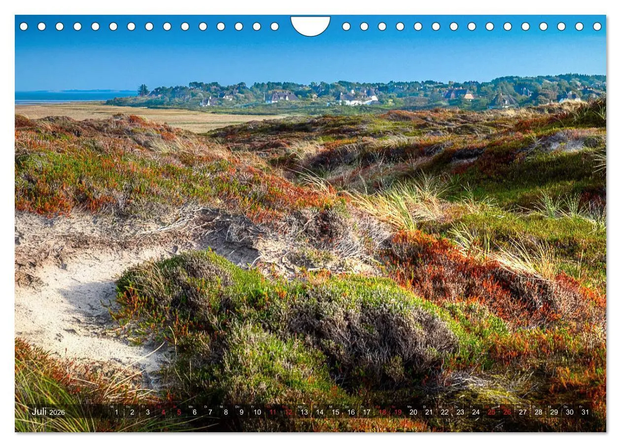 Bild: 9783457919606 | Sylt - Farbige Momente (Wandkalender 2026 DIN A4 quer), CALVENDO...