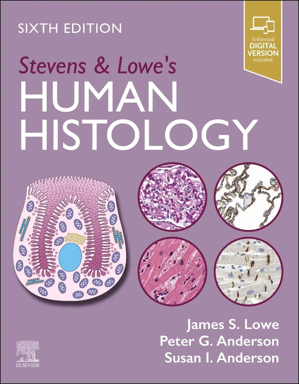 Cover: 9780443109706 | Stevens &amp; Lowe's Human Histology | James S. Lowe (u. a.) | Taschenbuch