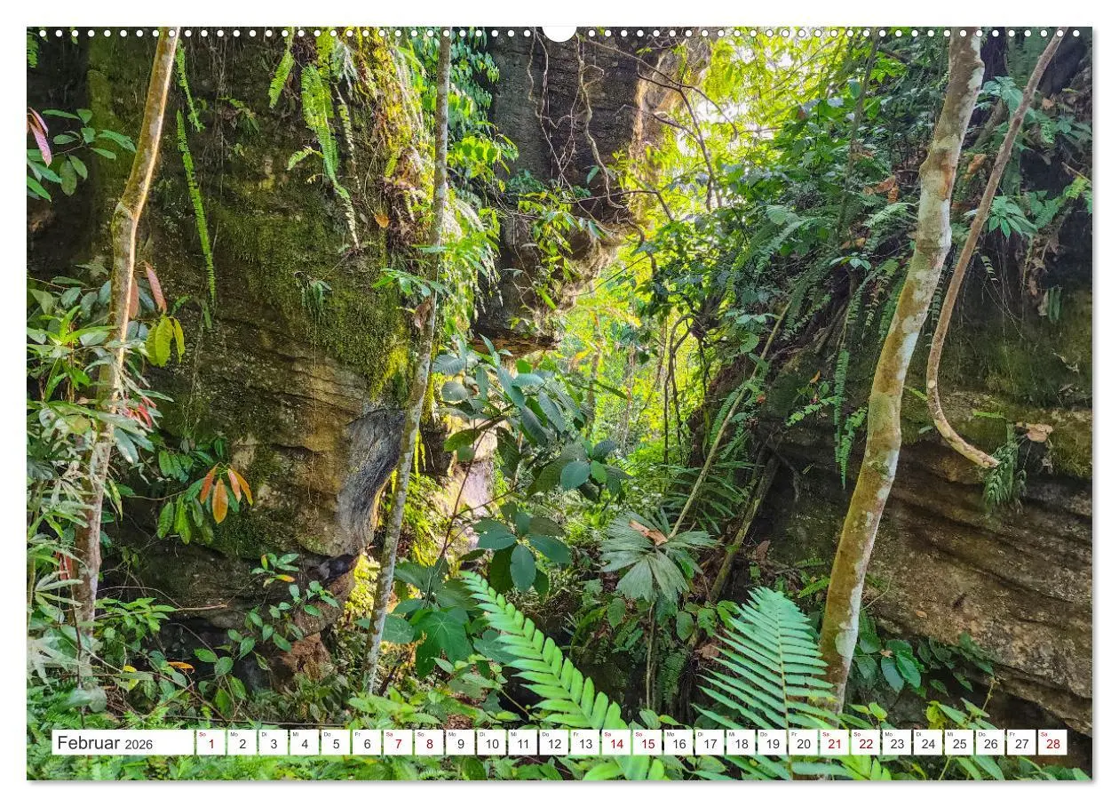 Bild: 9783457389706 | Gunung Leuser Nationalpark Sumatra (Wandkalender 2026 DIN A2 quer),...