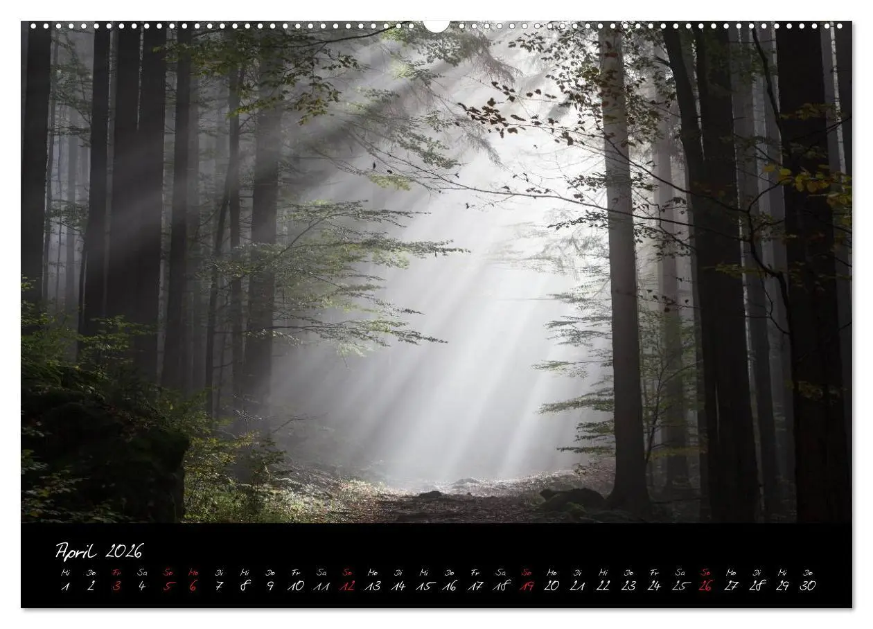 Bild: 9783516239706 | Bayerischer Wald (Wandkalender 2026 DIN A2 quer), CALVENDO...