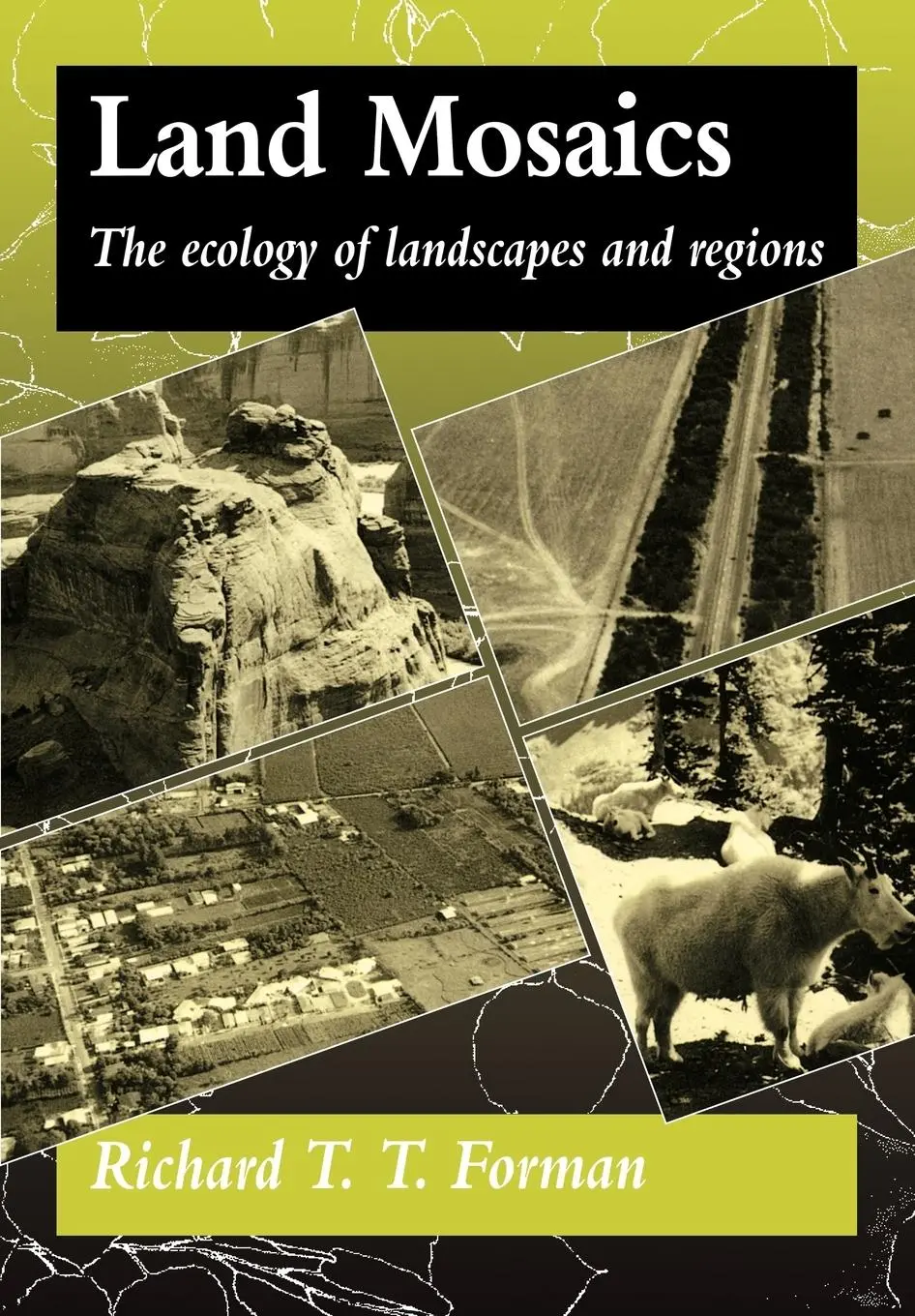 Cover: 9780521479806 | Land Mosaics | The Ecology of Landscapes and Regions | Forman (u. a.) Cover: 9780521479806 | Land Mosaics | The Ecology of Landscapes and Regions | Forman (u. a.)