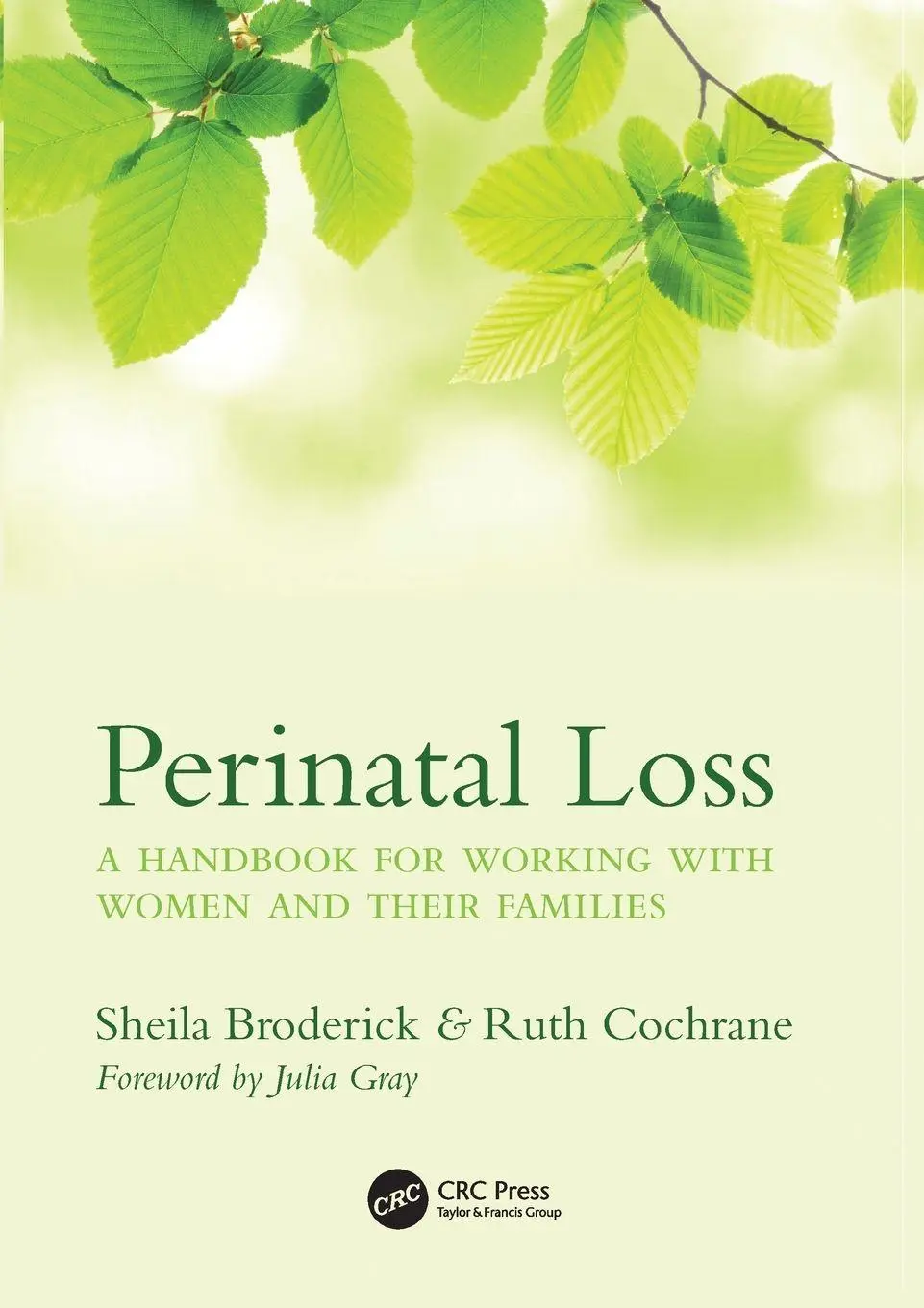 Cover: 9781846199806 | Perinatal Loss | A Handbook for Working with Women and Their Families