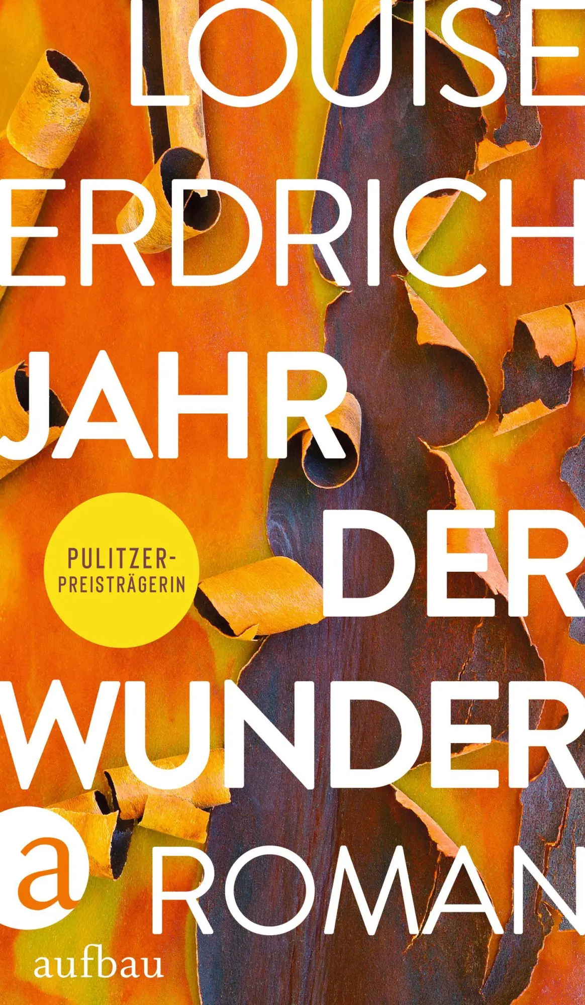 Cover: 9783351039806 | Jahr der Wunder | Roman | Louise Erdrich | Buch | 464 S. | Deutsch
