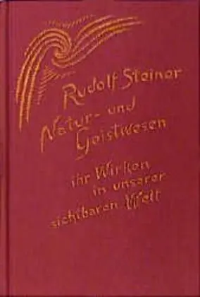Cover: 9783727409806 | Natur- und Geistwesen - ihr Wirken in unserer sichtbaren Welt | Buch