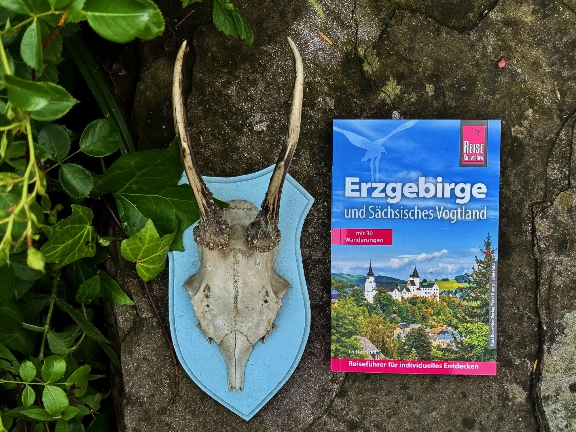 Bild: 9783831739806 | Reise Know-How Reiseführer Erzgebirge und Sächsisches Vogtland | Krell