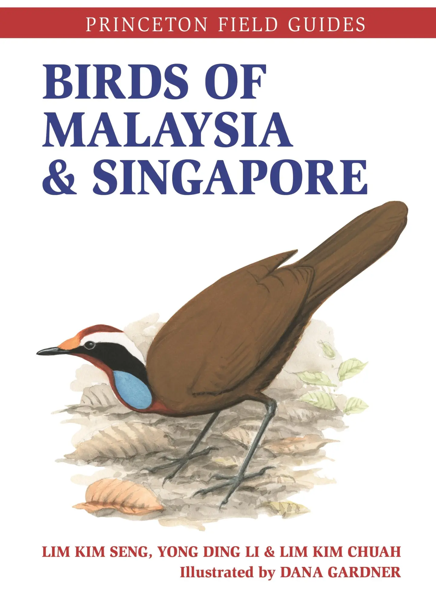 Cover: 9780691209906 | Birds of Malaysia and Singapore | Lim Kim Seng (u. a.) | Taschenbuch