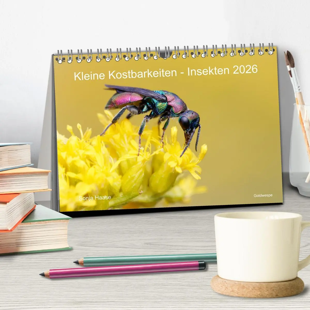 Bild: 9783457439906 | Kleine Kostbarkeiten Insekten (Tischkalender 2026 DIN A5 quer),...