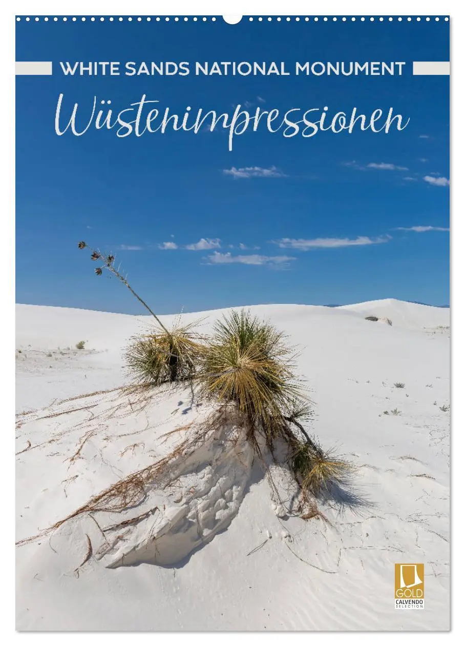 Cover: 9783516389906 | WHITE SANDS NATIONAL MONUMENT Wüstenimpressionen (Wandkalender 2026...